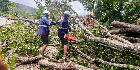 Rescue personnel clear fallen trees triggered by Cyclone 'Arnab' as they remove road restrictions in Ganjam and Gajapati districts.