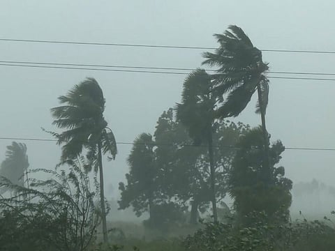 Odisha: Cyclone Arnab triggers flooding in Gajapati, paddy crops at risk.
