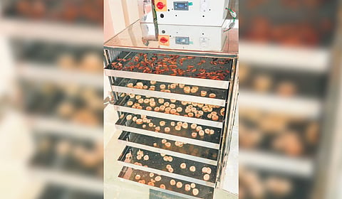 Solar powered drying system developed by the Amrita Viswa Vidyapeetham