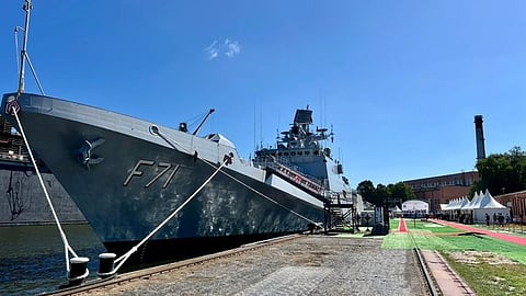 TAMAL- F71