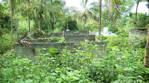 കാടുകയറി നശിച്ച വീടുകൾ