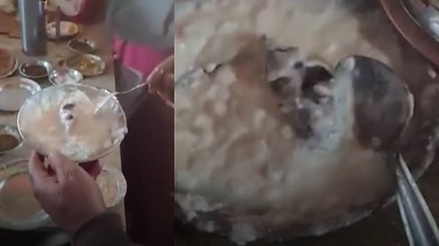 കഴിക്കാന് നല്കിയ തൈരില് ചത്ത എലി; റസ്റ്ററന്റിലെ വീഡിയോ സോഷ്യല്മീഡിയയില് വൈറല്