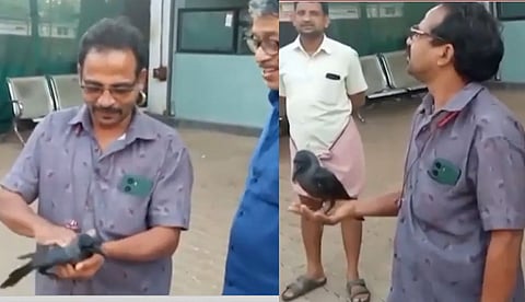 ഷോക്കേറ്റു വീണു കാക്കയ്ക്ക് രക്ഷകനായി റിട്ട. കെഎസ്ആര്ടിസി ഡ്രൈവര്; സിപിആര് നല്കി പുതു ജീവിതത്തിലേക്ക് | വീഡിയോ