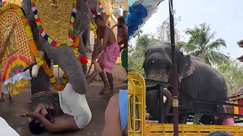 ശീവേലിയ്ക്ക് കോലം കെട്ടുന്നതിനിടെ യുവാവിനെ തുമ്പിക്കൈ കൊണ്ട് എടുത്തെറിഞ്ഞ് ആന; തളച്ചത് ഏറെ നേരത്തെ പരിശ്രമത്തിനൊടുവിൽ