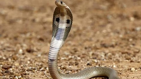 പ്രതീകാത്മക ചിത്രം