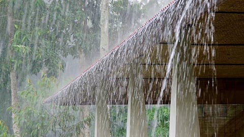മഴ തുടരും; 9 ജില്ലകളിൽ യെല്ലോ അലേർട്ട്