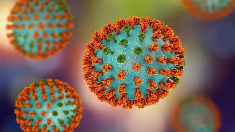 One death due to H1N1 in Kochi