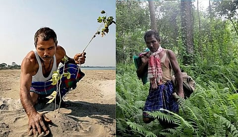 തരിശ് ഭൂമിയെ വനമാക്കിയ ജാദവ് മോലായി പായെങ്ങ്; പ്രകൃതിയുടെ പര്യായമായ മനുഷ്യന്