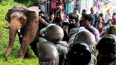 കാട്ടാന ആക്രമണത്തിൽ കൊല്ലപ്പെട്ട രാജുവിന്റെ കുടുംബത്തിന് 14 ലക്ഷം രൂപ ധനസഹായം; കുടുംബത്തിലെ ഒരാൾക്ക് വനംവകുപ്പിൽ ജോലി