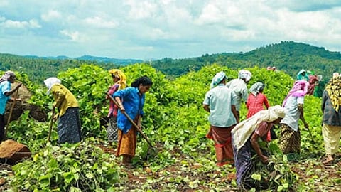 വിബി ജി റാം പദ്ധതി; കൂലിയിൽ വർധന