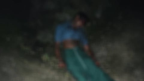 Son kills father by striking him on the head while under the influence of alcohol