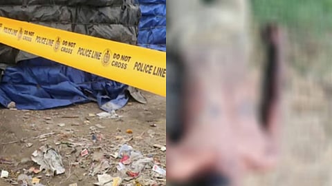 മരത്തടിയും കല്ലും ഉപയോഗിച്ച് മുഖത്തും തലയിലും ആഞ്ഞടിച്ചു, അതിക്രൂര മർദനം പാലക്കാട് ആൾക്കൂട്ടക്കൊലയിൽ നടുക്കുന്ന വിവരങ്ങൾ പുറത്ത്