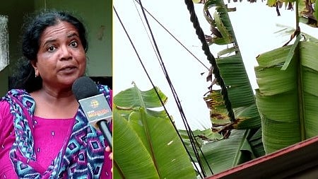 ഷീല