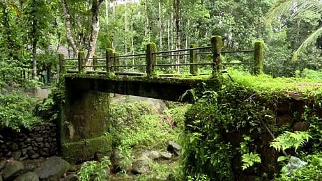 പ്രളയഭീതിയും വന്യജീവിശല്യവും; പുത്തുമല കാശ്മീർ ദ്വീപിൽ ദുരിതം തുടരുന്നു