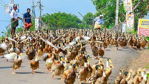 പ്രതീകാത്മക ചിത്രം