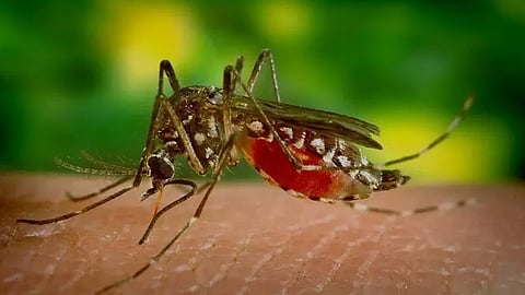 സംസ്ഥാനത്ത് പകർച്ചവ്യാധികൾ രൂക്ഷം; ഒരാൾക്ക് കൂടി കോളറ സ്ഥിരീകരിച്ചു