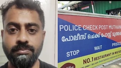 ഫെമിൻ