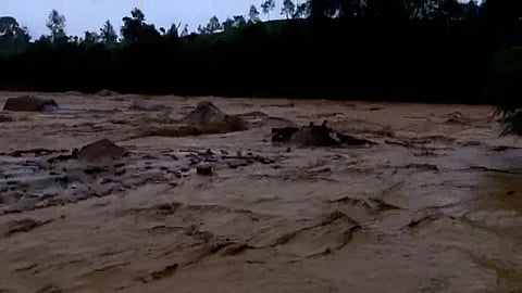 കോഴിക്കോട് ആനോറയിൽ ഉരുൾപൊട്ടി; അഞ്ചു പശുക്കൾ മണ്ണിനടിയില്