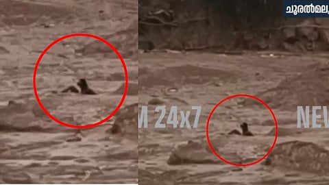 ചൂരല്മല ദുരന്തം: മണിക്കൂറുകളോളം ചളിയില് കുടുങ്ങിക്കിടന്ന യുവാവിനെ രക്ഷപ്പെടുത്തി സുരക്ഷാസേന