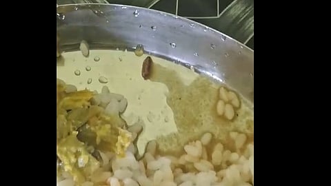 ഉച്ച ഭക്ഷണത്തിൽ പുഴു; സംഭവം പൊന്നാനി എംഇഎസ് കോളേജിലെ വനിതാ ഹോസ്റ്റലില്