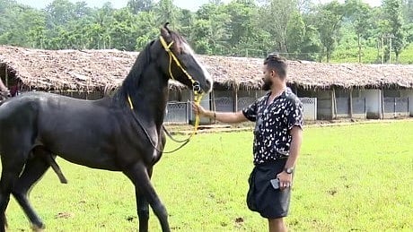 വയനാട് ചേകാടി കാരശേരിയിലെ സ്റ്റഡ് ഫാമിന് പഞ്ചായത്തിൻ്റെ സ്റ്റേ