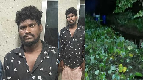 പൊലീസ് കസ്റ്റഡിയിൽ നിന്ന് ചാടിപ്പോയ കുറുവ സംഘാംഗം പിടിയിൽ