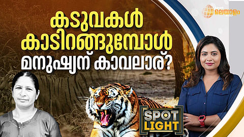 SPOTLIGHT| കടുവകള് കാടിറങ്ങുമ്പോള് മനുഷ്യനു കാവലാര്?