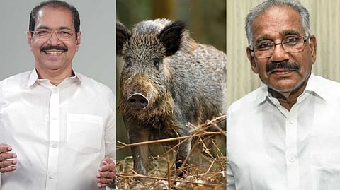 വെടിവെച്ച കാട്ടുപന്നിയെ വെളിച്ചെണ്ണയൊഴിച്ച് കറിവെച്ച് കഴിക്കാന് നിയമം വേണം: സണ്ണി ജോസഫ് എംഎല്എ