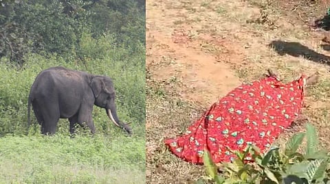 സംസ്ഥാനത്ത് വീണ്ടും കാട്ടാനയാക്രമണം; വയനാട് അട്ടമലയില് യുവാവ് കൊല്ലപ്പെട്ടു