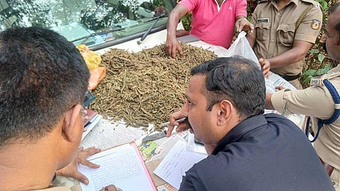 ഓപ്പറേഷന് ഡി ഹണ്ട്: സംസ്ഥാനത്ത് മാര്ച്ച് 15 ന് അറസ്റ്റിലായത് 284 പേര്; പിടികൂടിയത് 35 കിലോ കഞ്ചാവും 26 ഗ്രാം MDMAയും