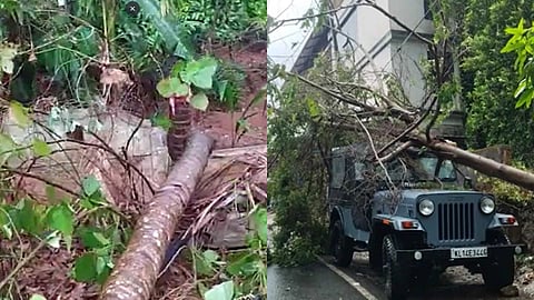 കനത്ത മഴ; സംസ്ഥാനത്ത് വിവിധയിടങ്ങളിലായി വൻ നാശനഷ്ടങ്ങൾ