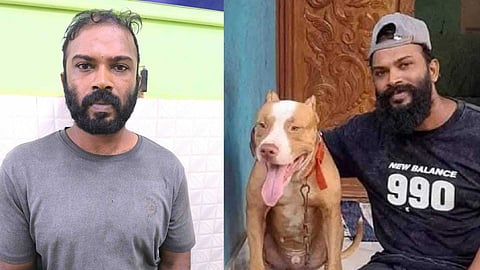 വർക്കലയിൽ മധ്യവയസ്കനെ 'പിറ്റ്ബുള്ളി'നെ കൊണ്ട് കടിപ്പിച്ച കേസ്: ഒളിവിലായിരുന്ന പ്രതി പിടിയിൽ