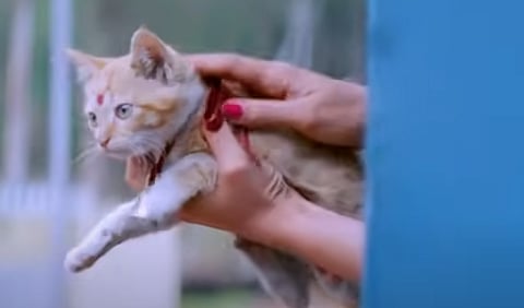 'സമ്മര് ഇന് ബത്ലേഹമി'ലെ അവസാനസീനിൽ നിന്ന്