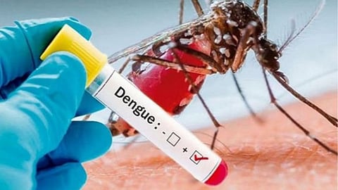 Dengue