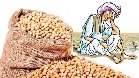 सोयाबीन : प्रतिक्विंटलमागे ५ हजार रुपयांचा शेतकर्याला फटका