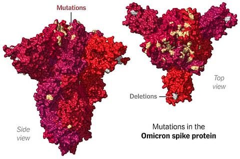 Omicron variant Update : दिल्लीत ‘ओमायक्रॉन’?; १२ संशयित रूग्णांवर उपचार