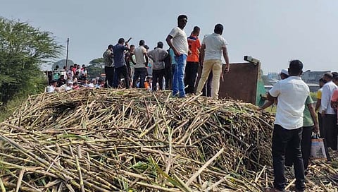 कोल्हापूर : बालिंगे पुलानजीक उसाने भरलेली ट्रॉली पलटी, दीड तास वाहतूक ठप्प (video)