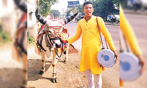 Nandibail in Talegaon area!