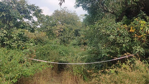 पीडित मृत मुलीच्या घरापासून सुमारे ५०० मीटर अंतरावर ओढ्यात मृतदेह आढळून आला.