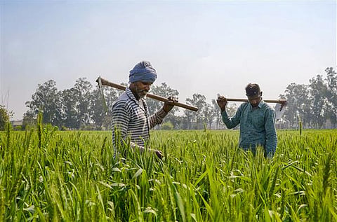 नगर: तर शेतकरी राहणार हप्त्यापासून वंचित; तीन लाख ई-केवायसीच नाही
