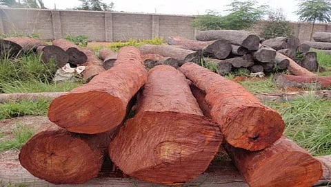 पुष्पा स्टाइलमध्ये लालचंदन तस्करीचा प्रयत्न फसला