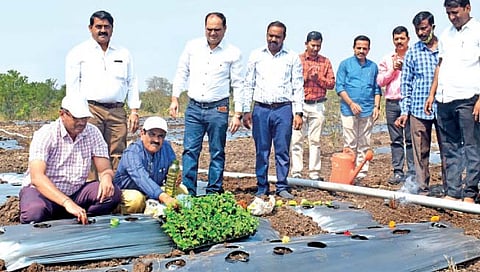 सांगलीत मार्चमध्ये ‘अॅग्री पंढरी’ प्रदर्शन