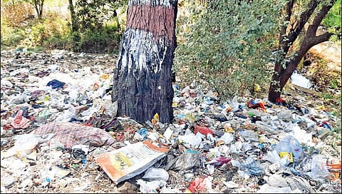 कोयना पुलाच्या उत्तर बाजूला कचर्याचे साम्राज्य...