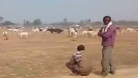 उत्तरप्रदेश : शेतकर्यांनी योगींच्या सभेत सोडले वळू
