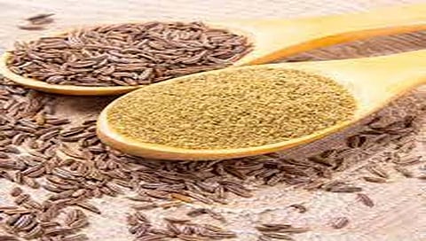 Benefits Of Jeera : उन्हाळ्यात आरोग्यवर्धक ‘जिरे’; फायदे ऐकूण थक्क व्हाल
