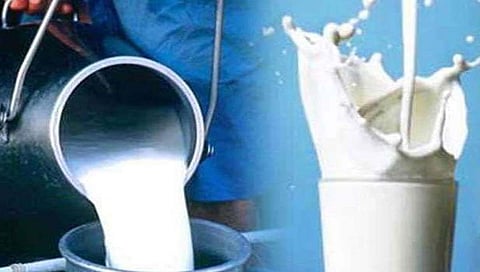 दूध खरेदी दर नियंत्रणासाठी हवे नियमन प्राधिकरण