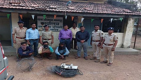 नागपूर : वाघ मृत्यू प्रकरणात तीन आरोपींना अटक www.pudharinews