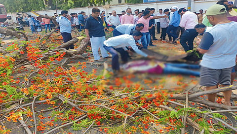 नाशिकच्या लेखानगर येथे दुचाकीवर गुलमोहरचे झाड पडल्याने एकाचा मृत्यू
