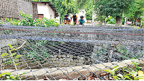 विहिरींवर बसवल्या संरक्षक जाळ्या,www.pudhari.news
