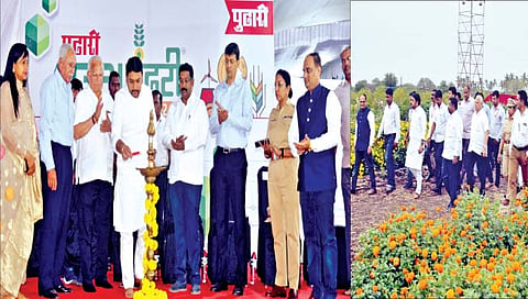सांगली : बदलत्या हवामानामुळे कमी वेळेची पिके घ्या